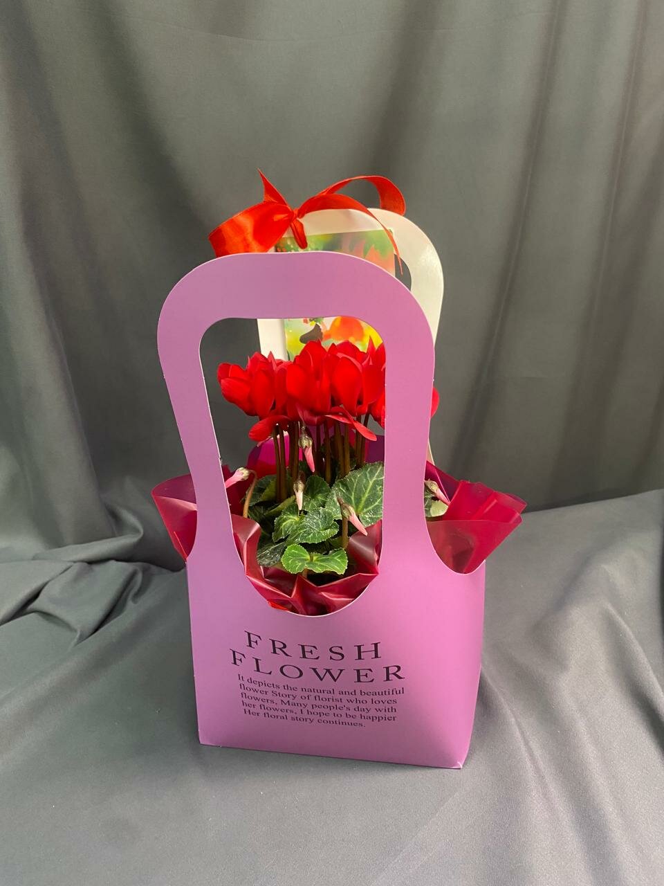 Красный цикламен в подарок любимой Маме чудесный и долгий букет