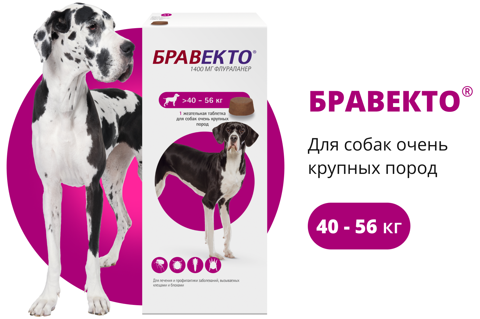 MSD Animal Health таблетки от блох и клещей Бравекто таблетки для очень крупных пород для собак от 40 до 56 кг 1 шт. в уп., 1 уп. — фото 1