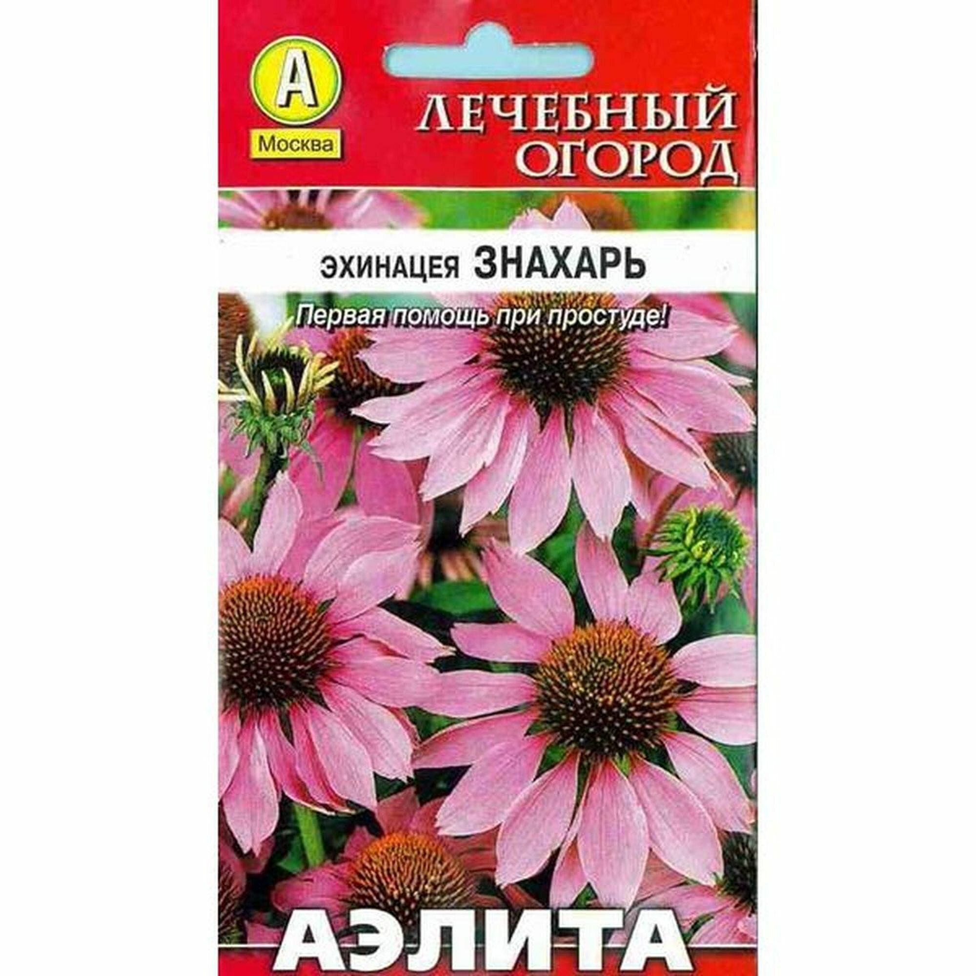 Семена Эхинацея пурпурная Знахарь многолетние Аэлита 1 пачка - 0.3г семян