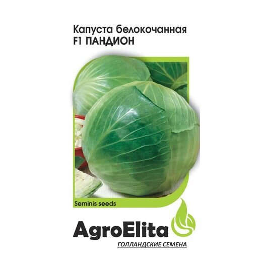 Семена Капуста белокачанная Пандион F1 10шт Ранние Семинис (АгроЭлита) Голландия