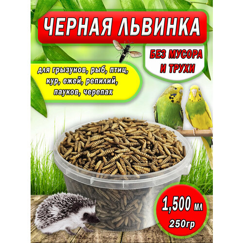 Черная львинка, лакомство для грызунов, рыб, 250грамм