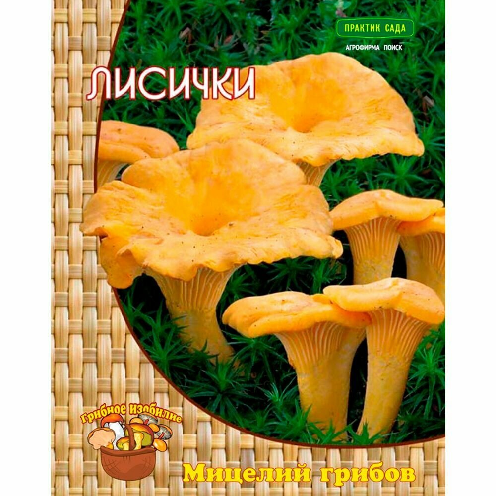 Изображение Мицелий грибов 4 упаковки. Лисички, Лисичка граненая, Подберезовик, Подосиновик