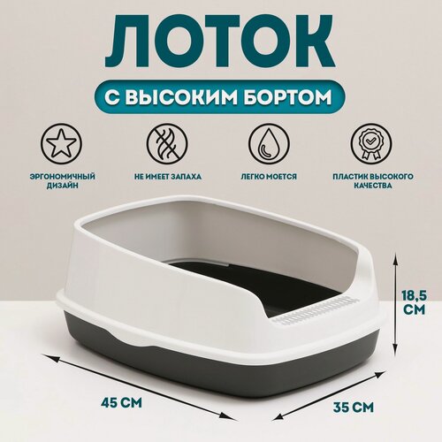 Изображение товара Туалет для кошек «Айша», с высоким бортом, без сетки, размер 45 х 35 х 18,5 см, серый