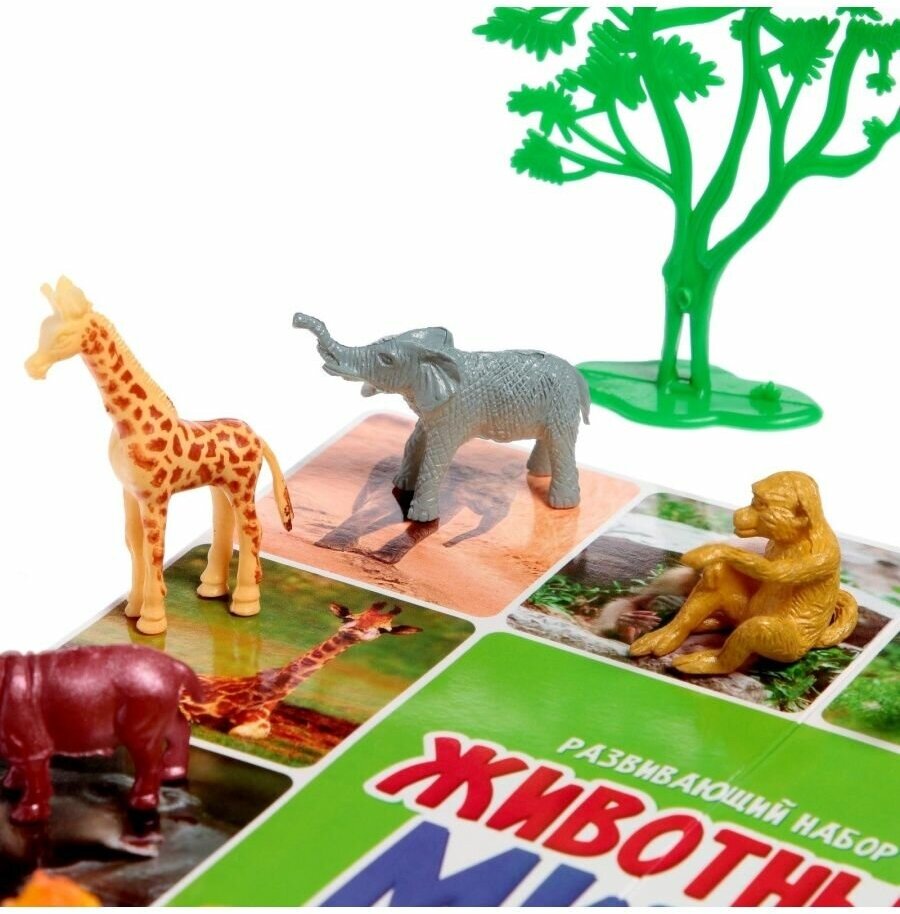 Игровой набор с обучающими карточками "Животные", 12 фигурок