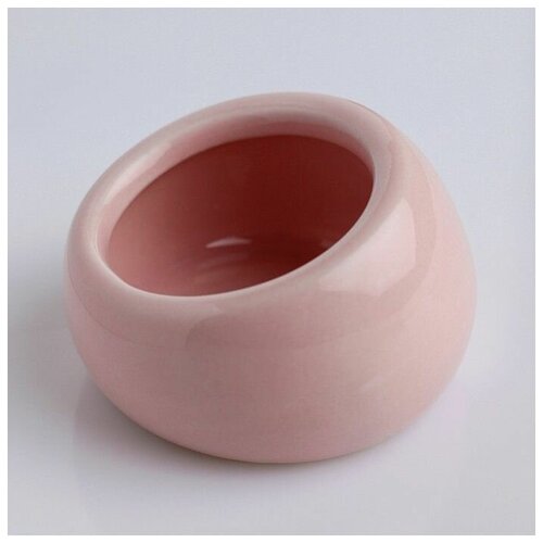 Миска керамическая для грызунов со скошенным краем, 30 мл, 5.7 х 5.7 х 3.5 см, розовая, 1 шт.