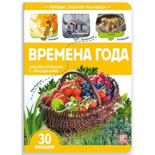 Книжка с окошками. Времена года времена года с конни книжка с окошками шнайдер л