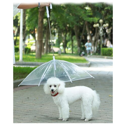 Зонт поводок дождевик для собак и кошек