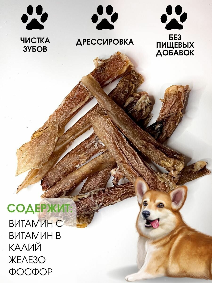 Аорта говяжья 250 грамм, лакомство для собак. " Pet Paradise" - фотография № 2