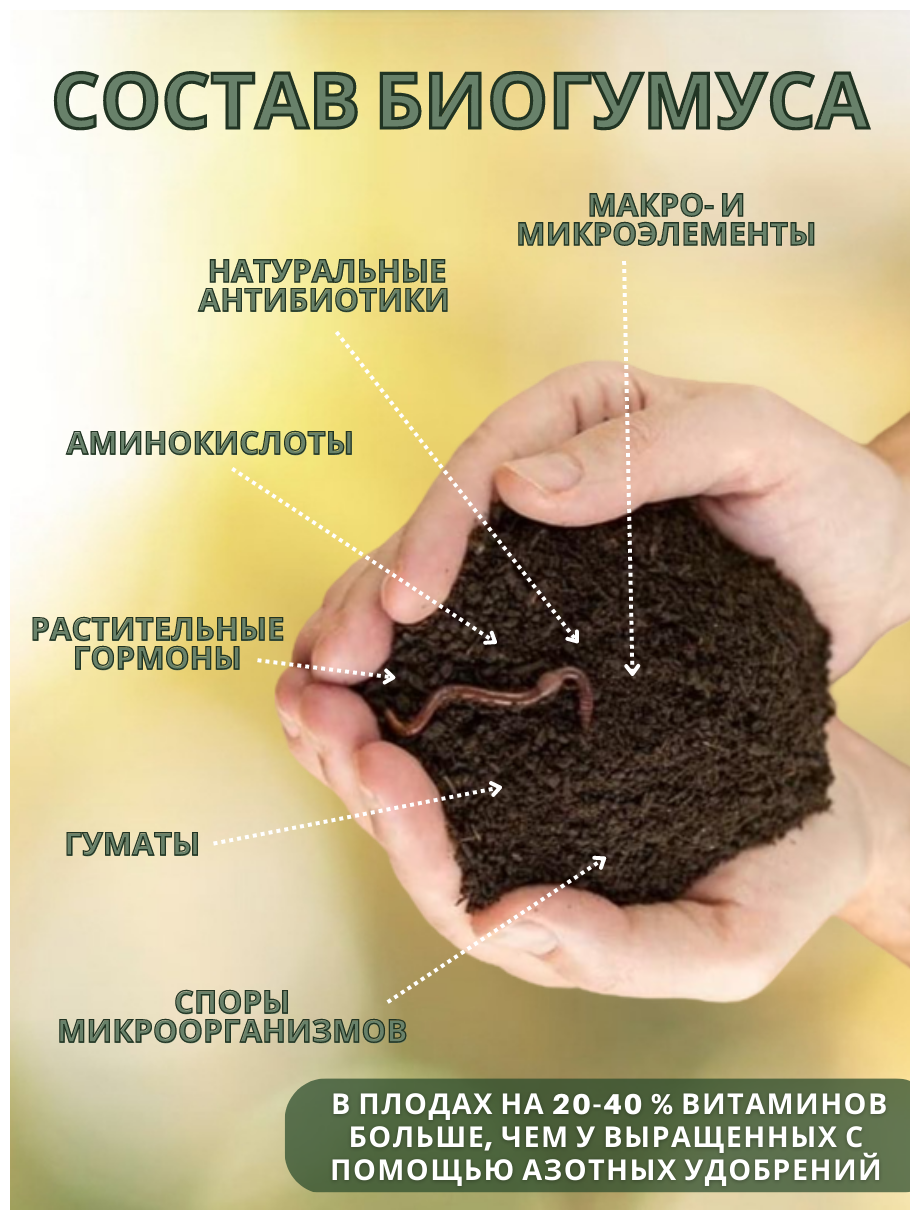 Удобрение органическое Биогумус, грунт для растений 3 литра - фотография № 2