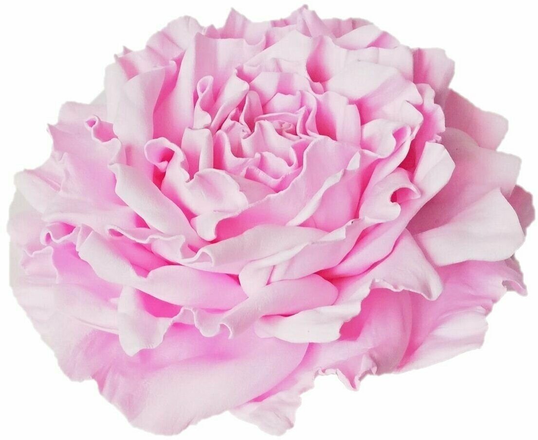 Заколка-брошь для волос/одежды/сумки большой цветок роза светло-розовая 0008