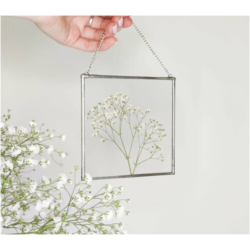 Панно на стену Гербарий в стекле Гипсофила 
