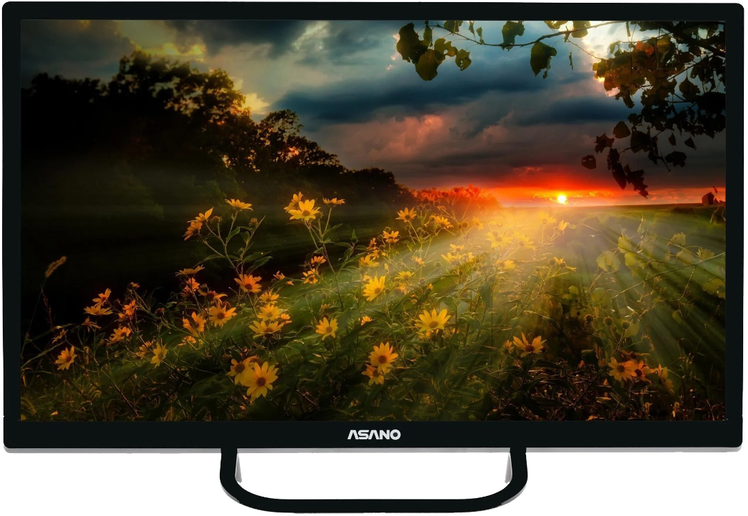 24" Телевизор Asano 24LH1110T LED (2019), черный