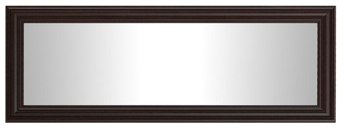 Зеркало МД-П5, цвет венге, ШхГхВ 40х4х104 см. - фотография № 2