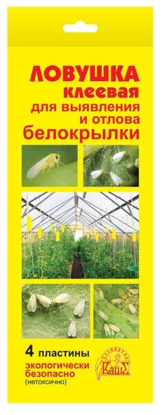 Seedspost Ru Интернет Магазин Семян Каталог