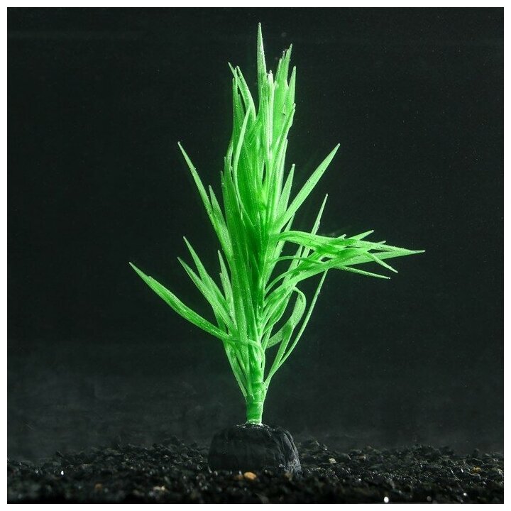 Растение аквариумное КНР силиконовое, светится в темноте, 7х12,5 см, зеленое