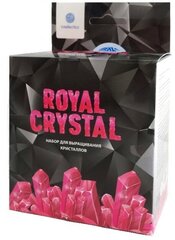 Intellectico Научно-познавательный набор для выращивания кристаллов «Royal Crystal», розовый