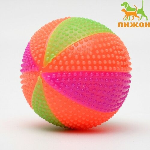 Мячик светящийся для собак Цирковой, TPR, 6,5 см, микс цветов