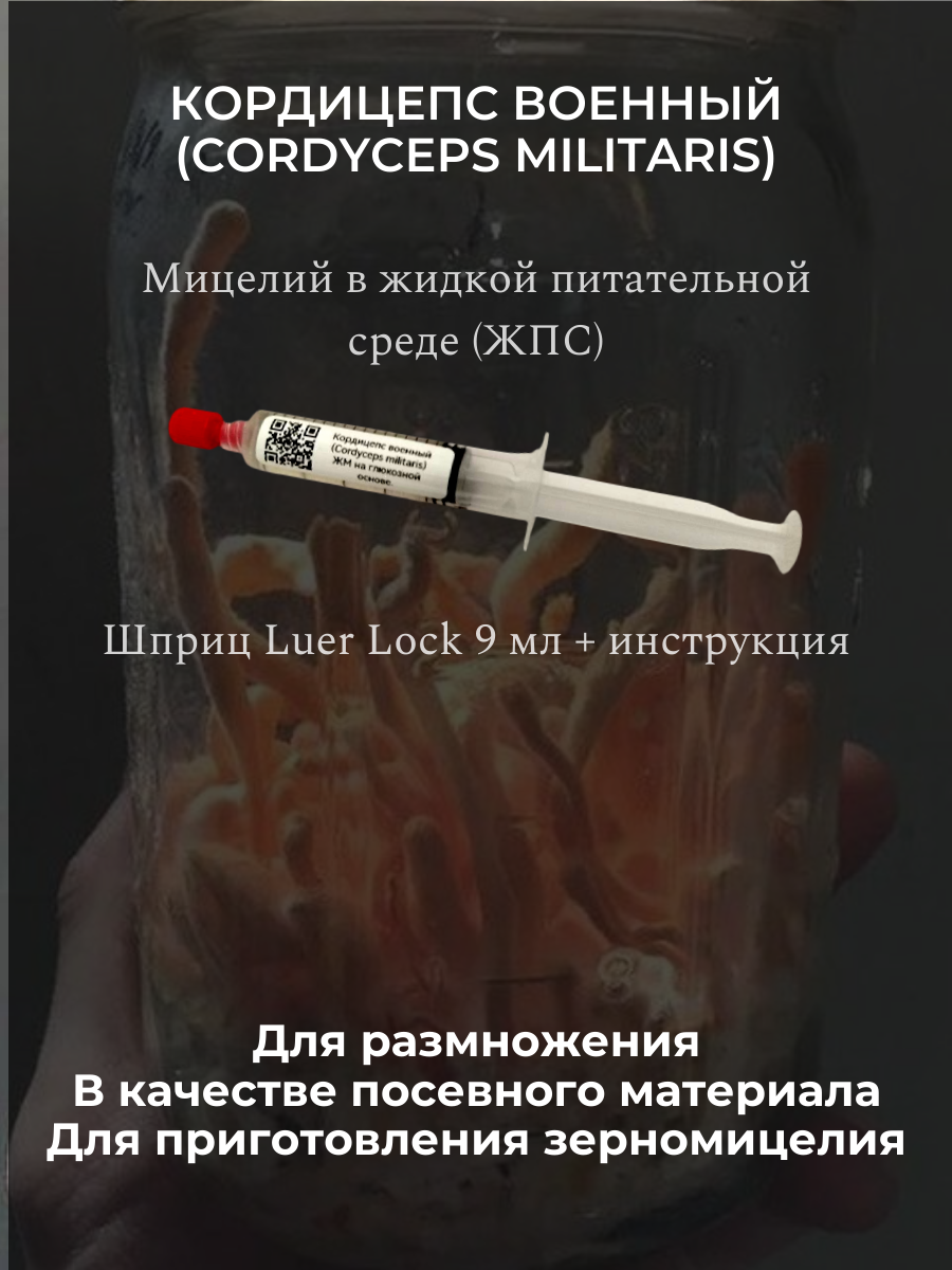 Жидкий Мицелий Кордицепса Военного (мицелий гриба в жидкой питательной среде). Luer Lock 9 мл.