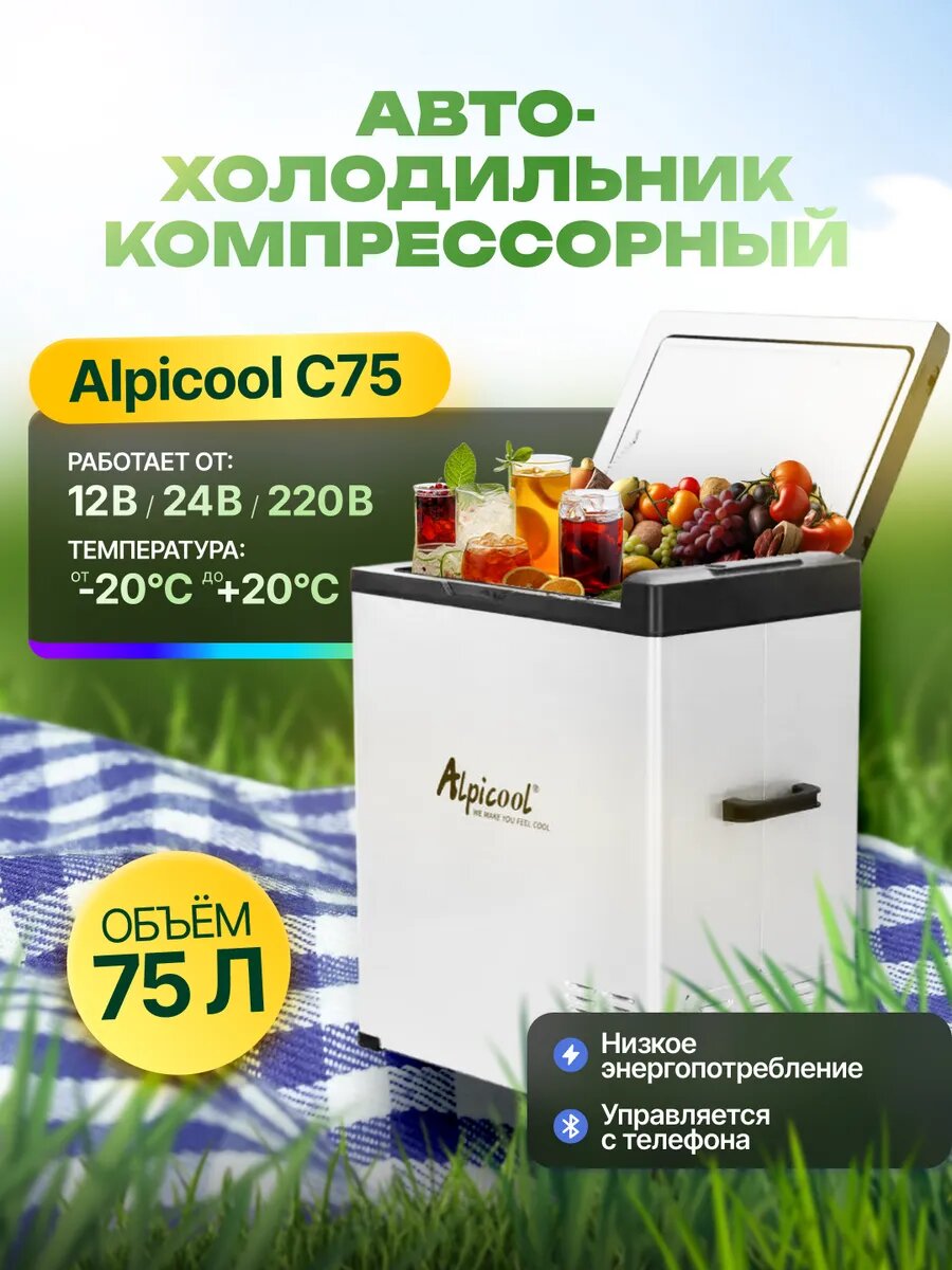 Автохолодильник компрессорный переносной в машину С75