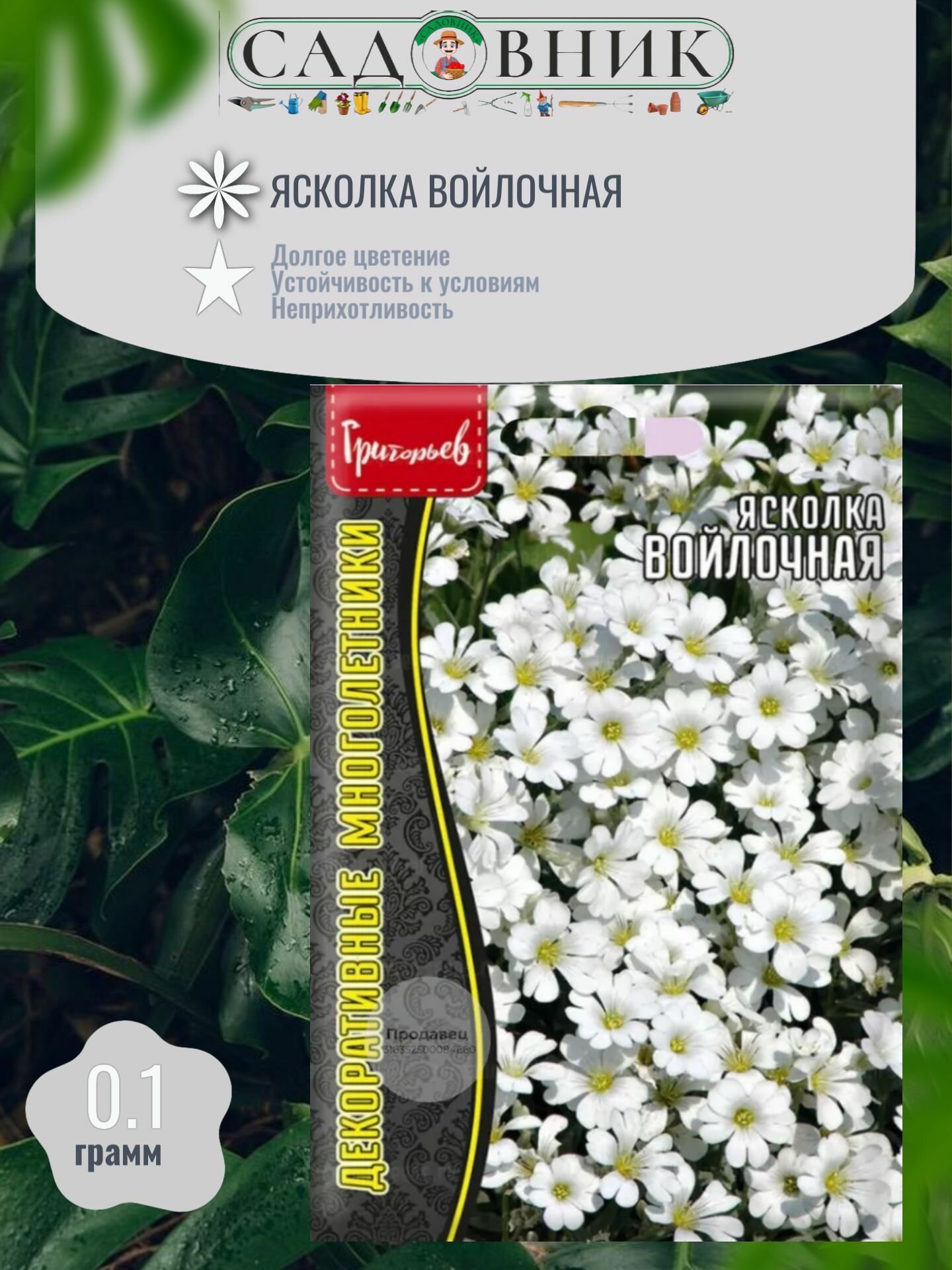 Ясколка Войлочная 01г/ Редкие семена