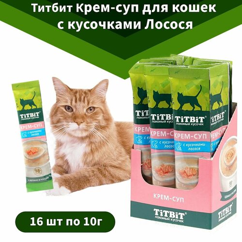 Титбит Лакомство крем-суп с кусочками Лосося 16шт по 10г