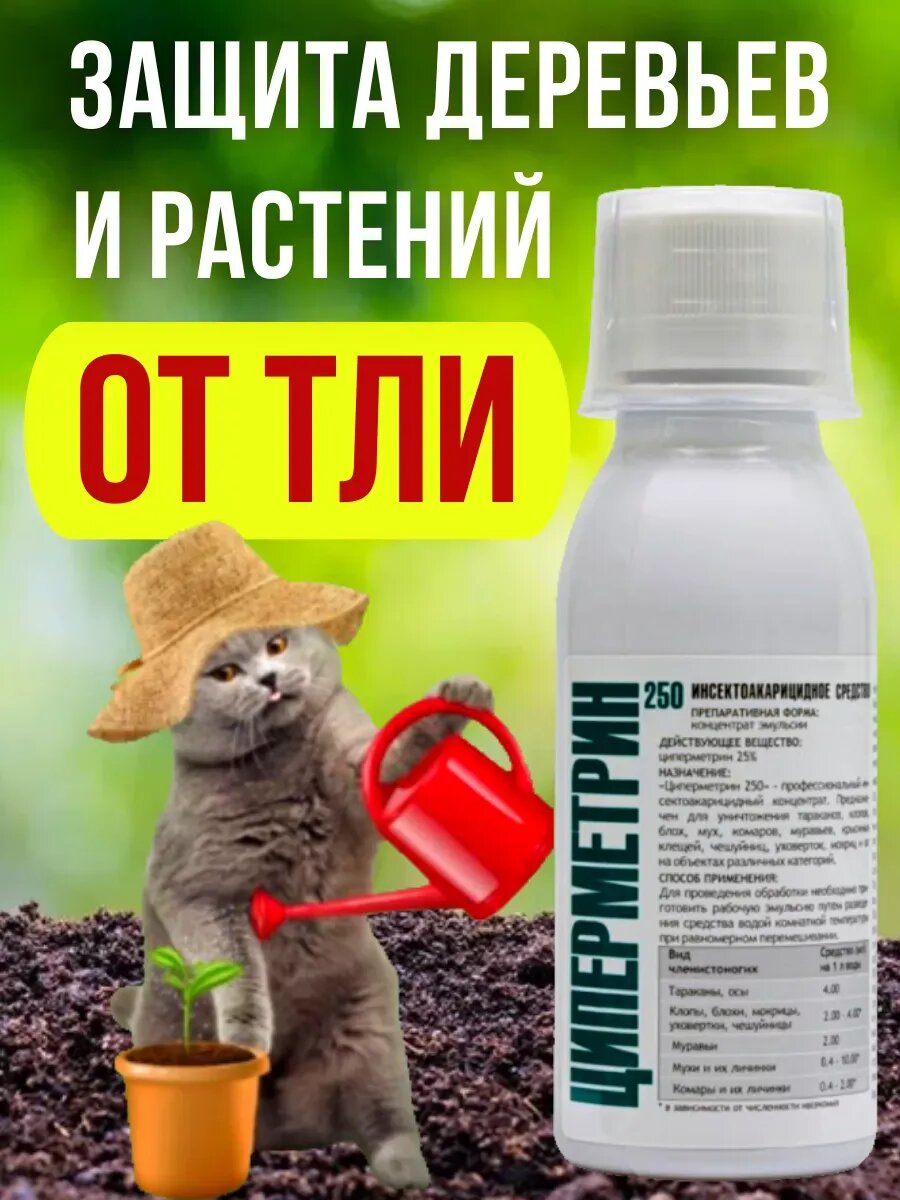 Средство от тли на розах