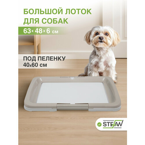 Большой лоток для собак мелких и средних пород STEFAN (Штефан) под пеленку (L) размер 63x48x6 серый, BP1031B