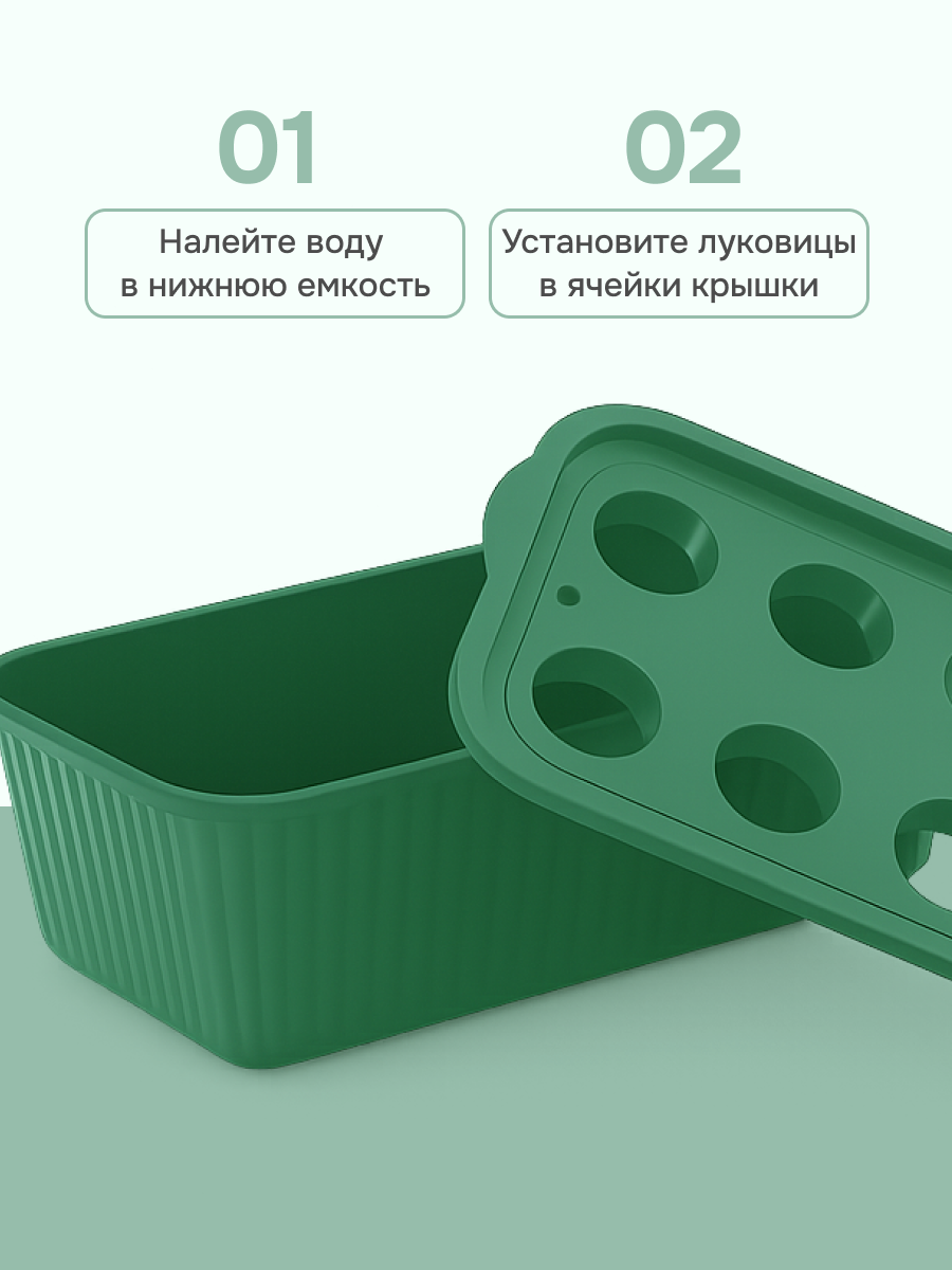 Лоток для выращивания зеленого лука — фото 1