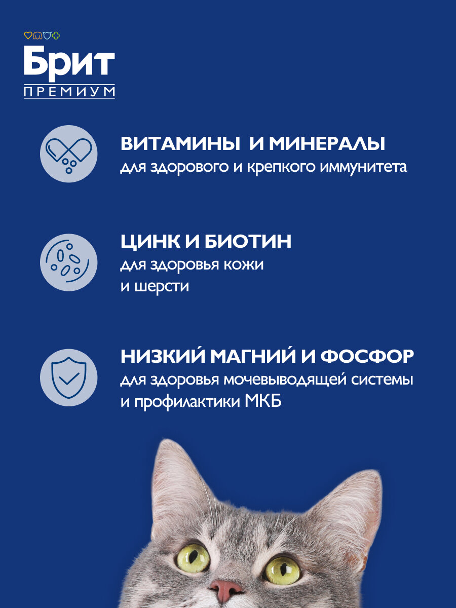 Сухой корм для котят Brit Premium Cat с курицей 2 кг для всех пород — фото 1