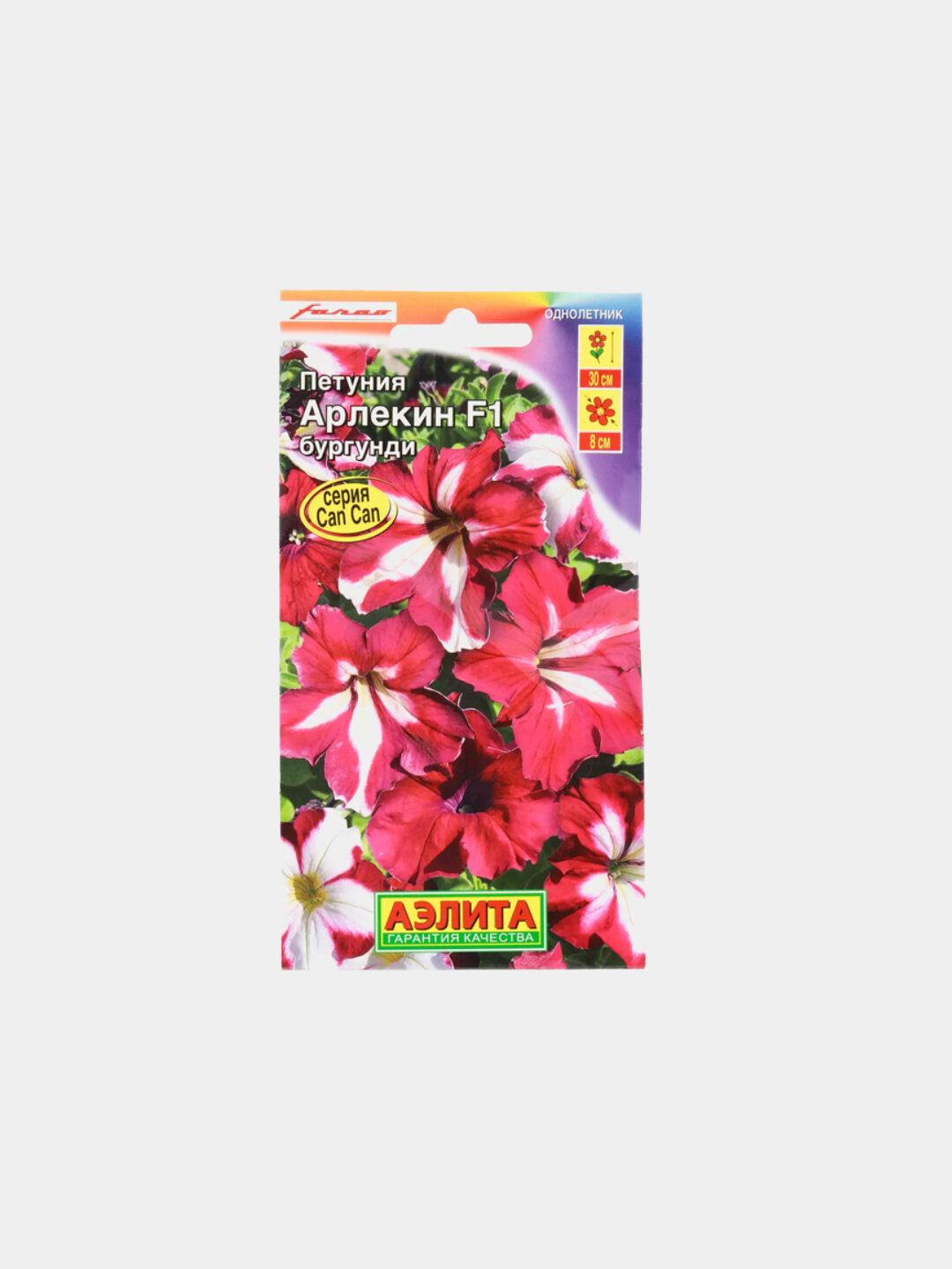 Семена цветов Петуния «Арлекин Бургунди» — эффектный фейерверк красок в вашем саду