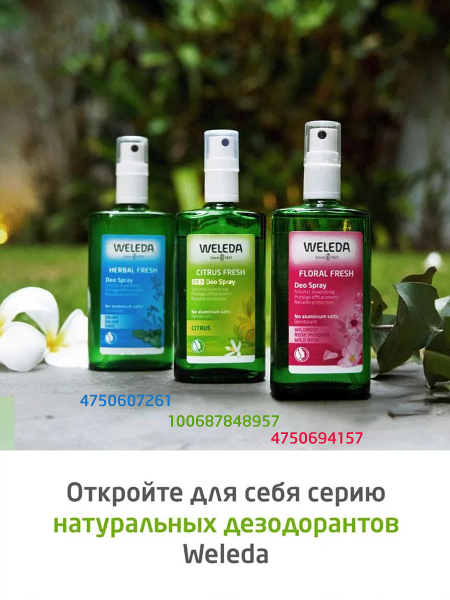 Weleda Цитрусовый дезодорант - спрей, для всех типов кожи, 24ч, 100мл. — фото 1