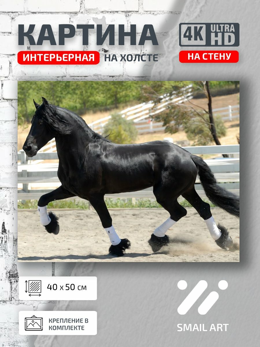 Картина на холсте интерьерная 40 на 50 на стену Лошадь Animal для гостиной animal style