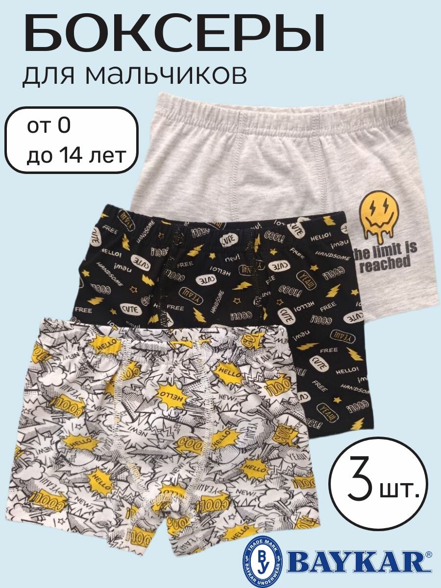 Трусы боксерские BAYKAR Весна-лето 2025