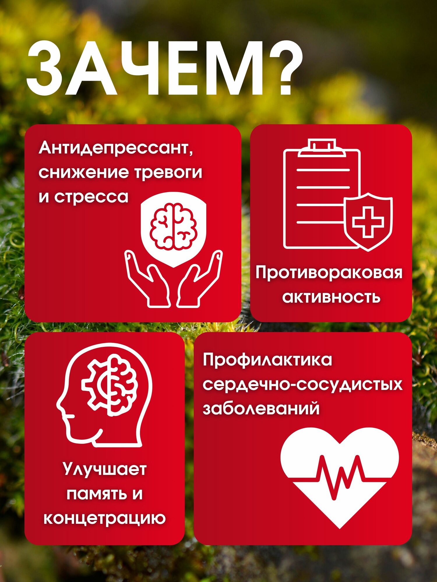 Изображение Ежовик (Ежевик) гребенчатый 100 мл спиртовой экстракт, настойка, ноотроп для мозга, Mushroom Warrior, комплексная пищевая добавка