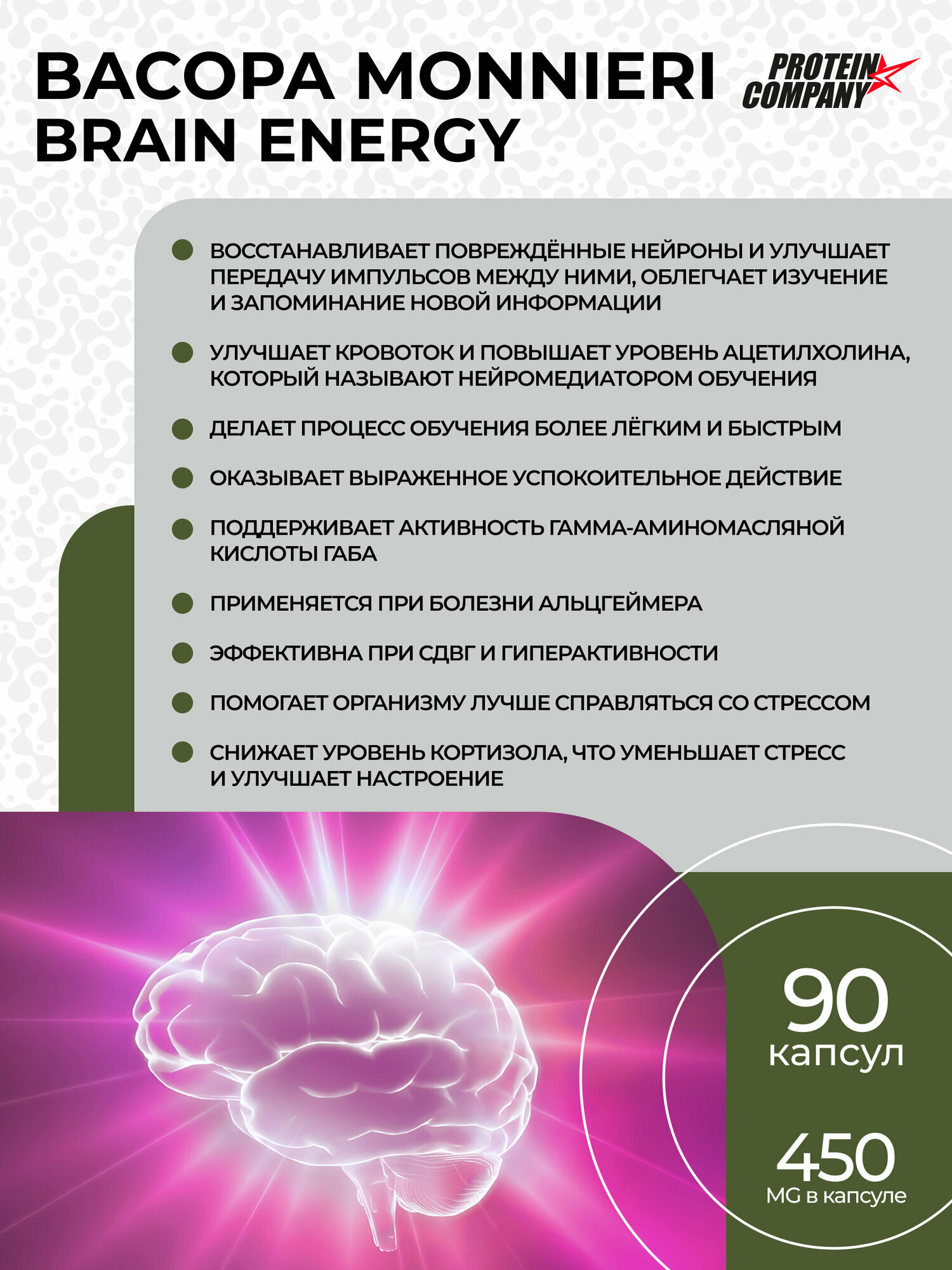 Бакопа монье экстракт, 450 мг PROTEIN.COMPANY ноотроп, укрепляет память, улучшает внимание, витамины для мозга, 90 кап — фото 1