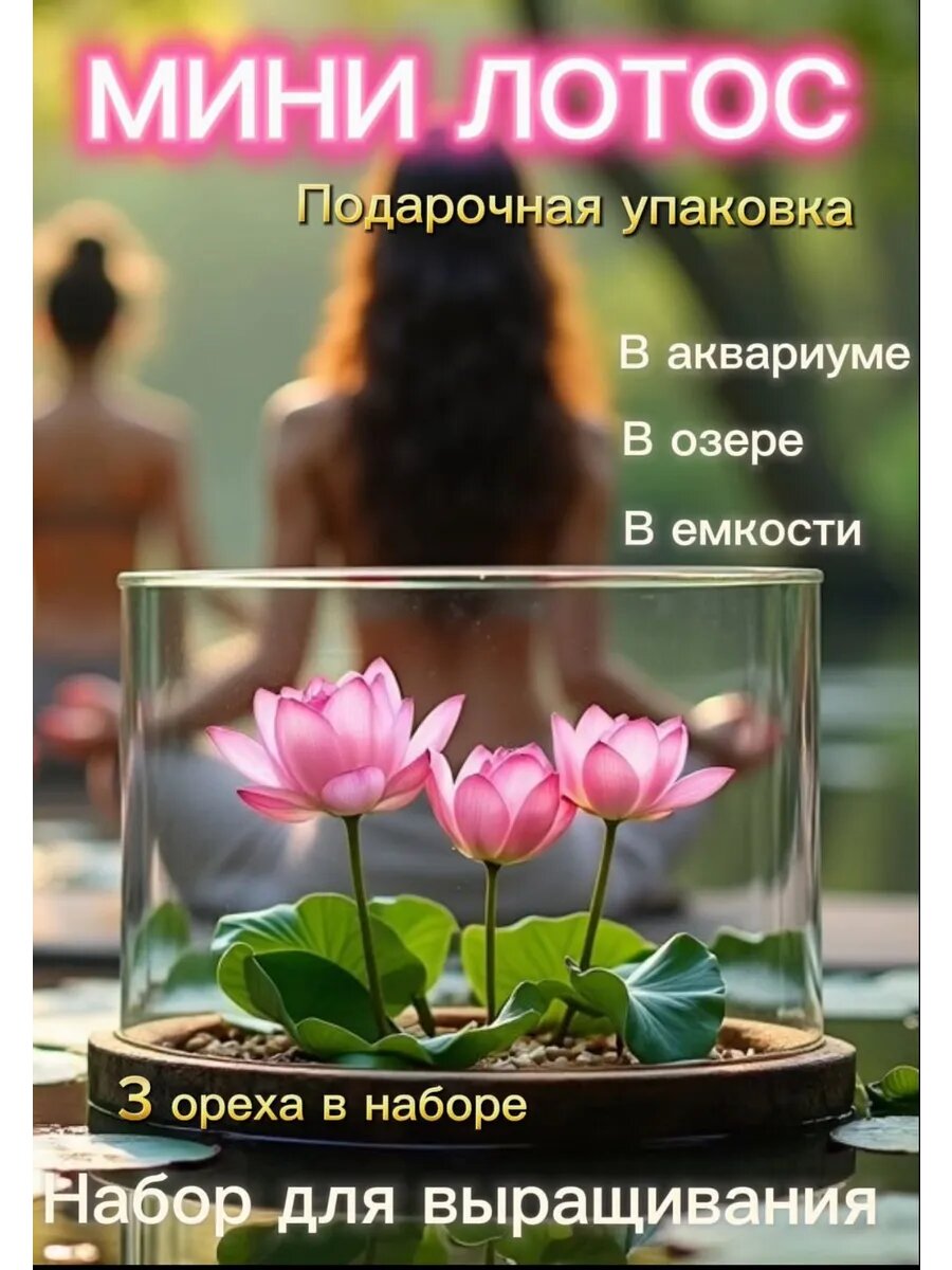 Набор для выращивания семян лотоса в горшке 
