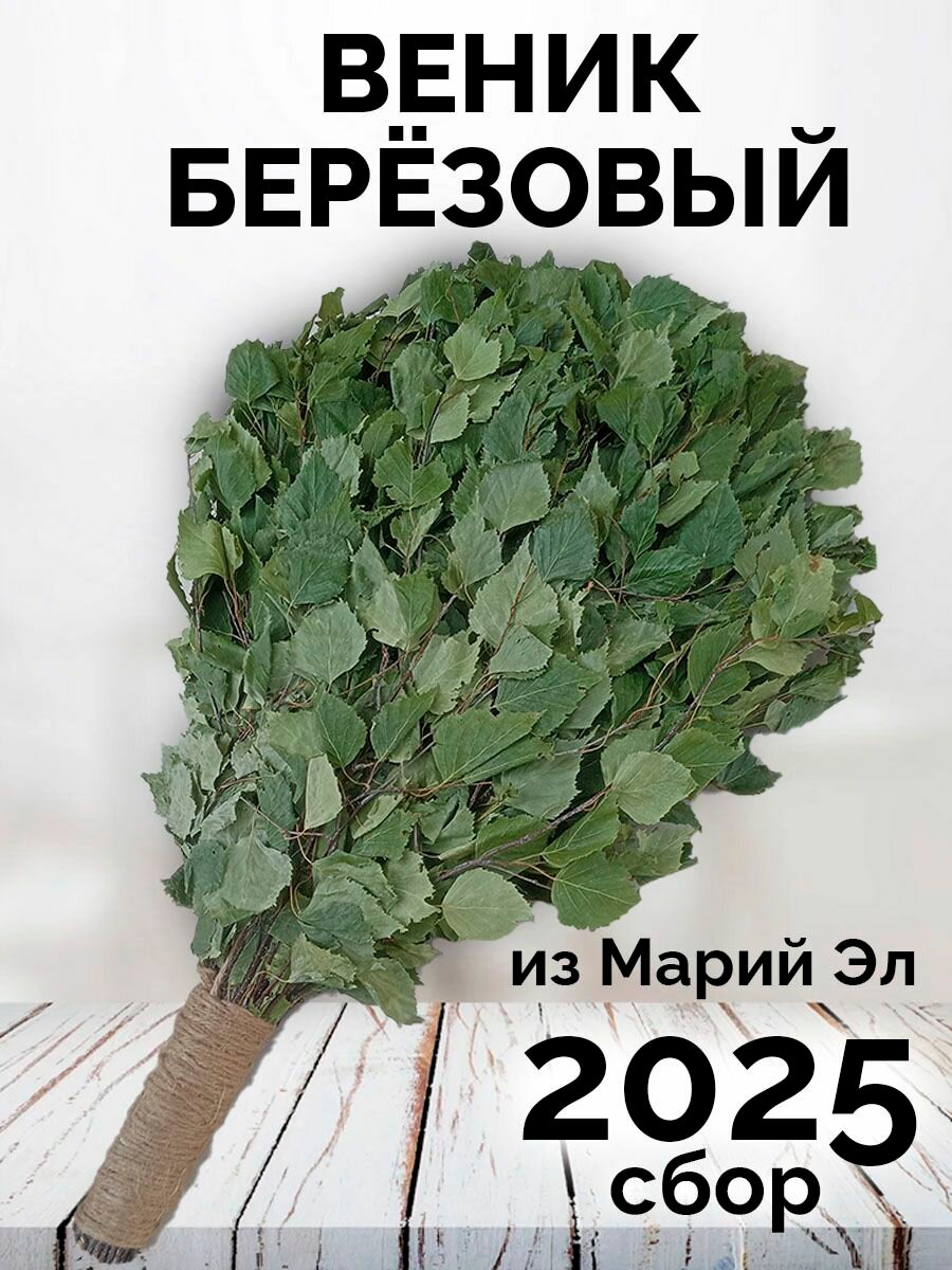 Веник березовый для бани 1 штука с ручкой из джута Марий Эл сбор 2025 года