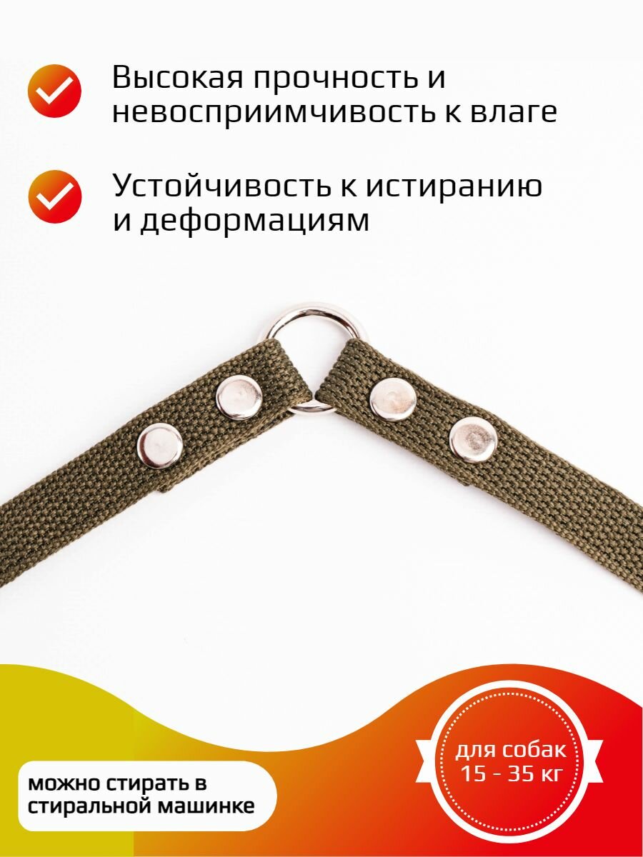 Сворка Хвостатыч для двух собак капрон 70 см х 20 мм с поводком 1,5 м (зеленый) — фото 1
