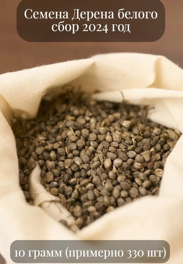 Семена Дерена белого зимостойкого неприхотливого теневыносливого 10 грамм (примерно 330 шт)