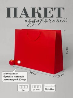Изображение товара Пакет подарочный "Премиум"- 70х50х20