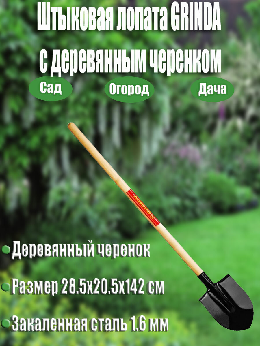 Штыковая лопата GRINDA с деревянным черенком из березы стальное полотно 1,6 мм диаметр черенка 40 мм размер 285х205х1420 мм