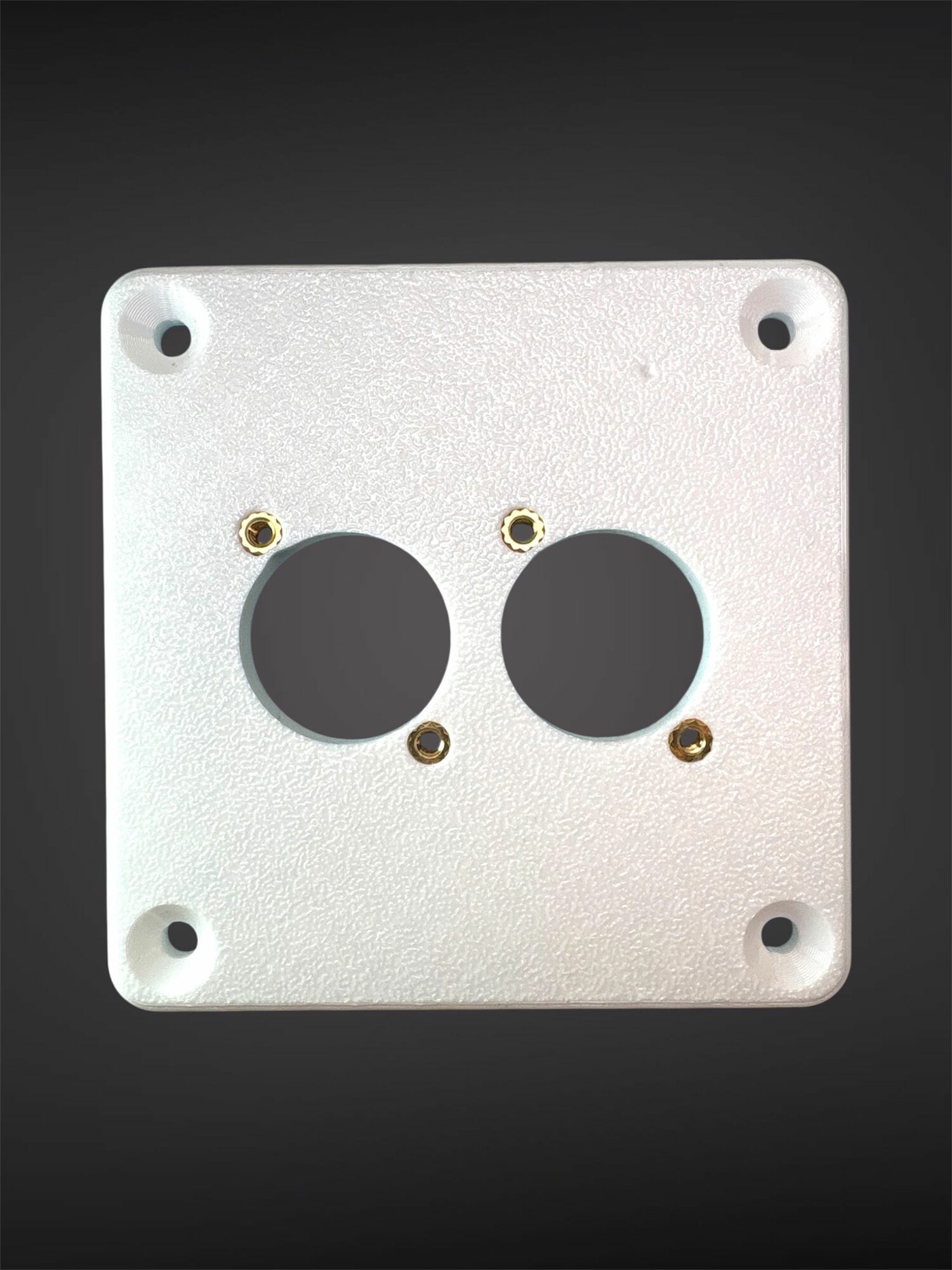 Настенная панель для 2 разъемов типа XLR, RJ45, Speacon, Powercon