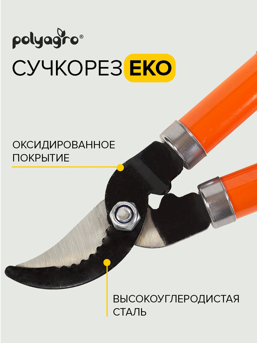 Сучкорез садовый с деревянными рукоятками 64см, Polyagro