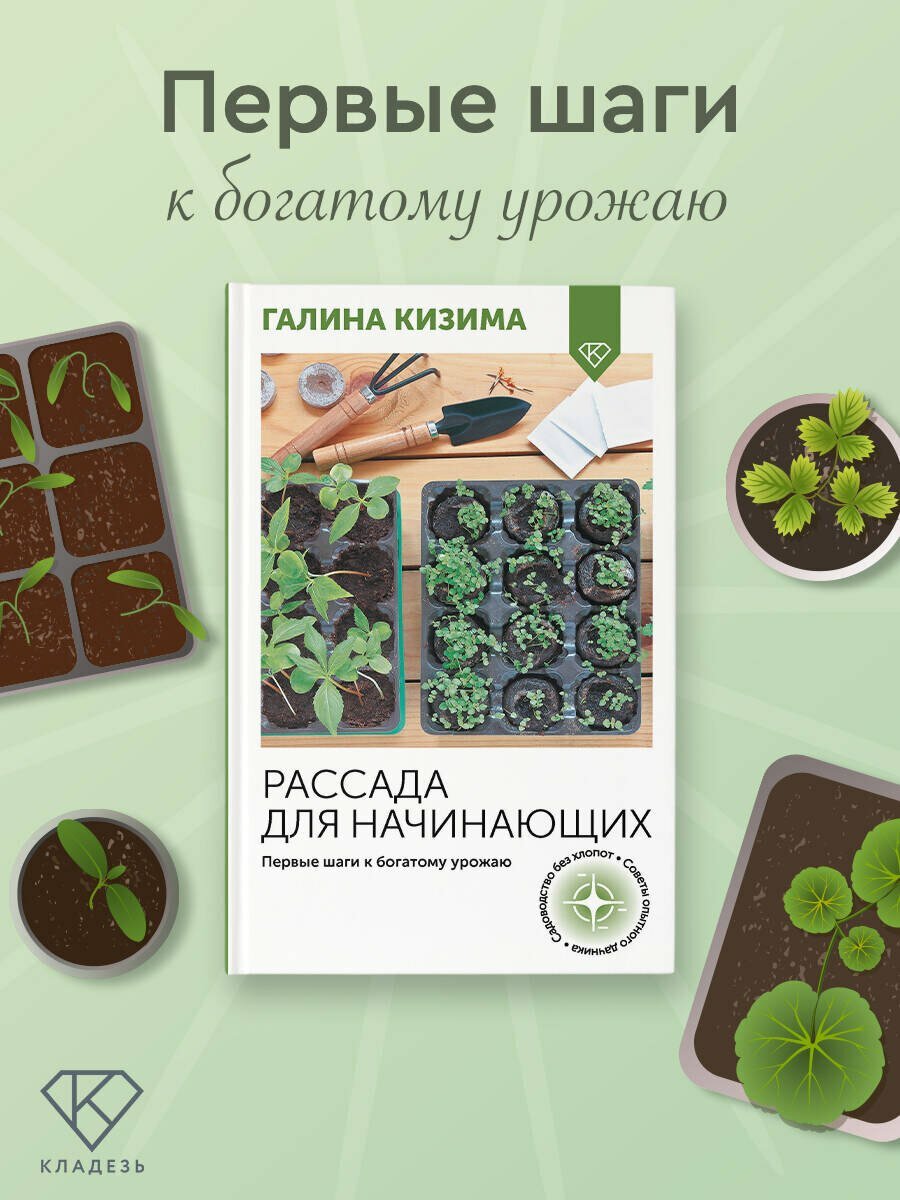 Рассада для начинающих. Первые шаги к богатому урожаю — фото 1