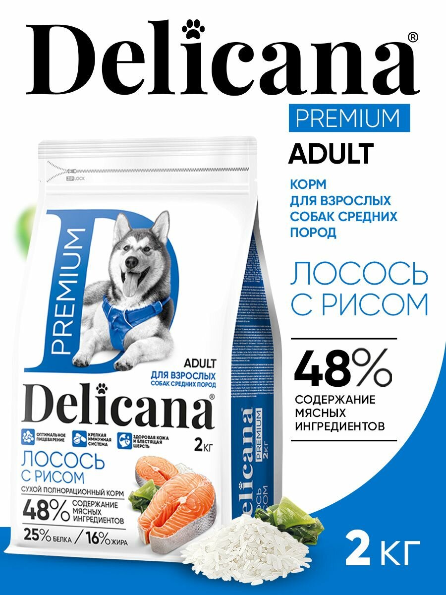 Корм сухой Delicana для собак средних пород Лосось с рисом 2 кг