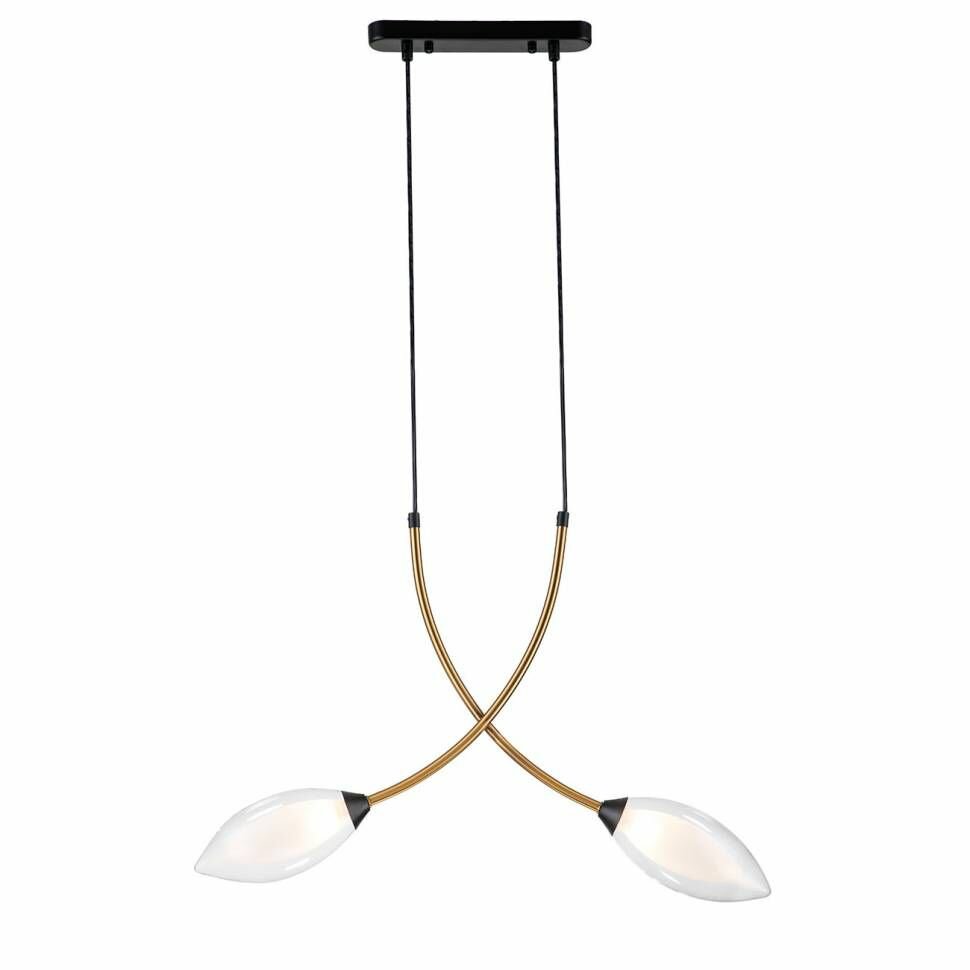 Светильник INDIGO 13001/2P Black