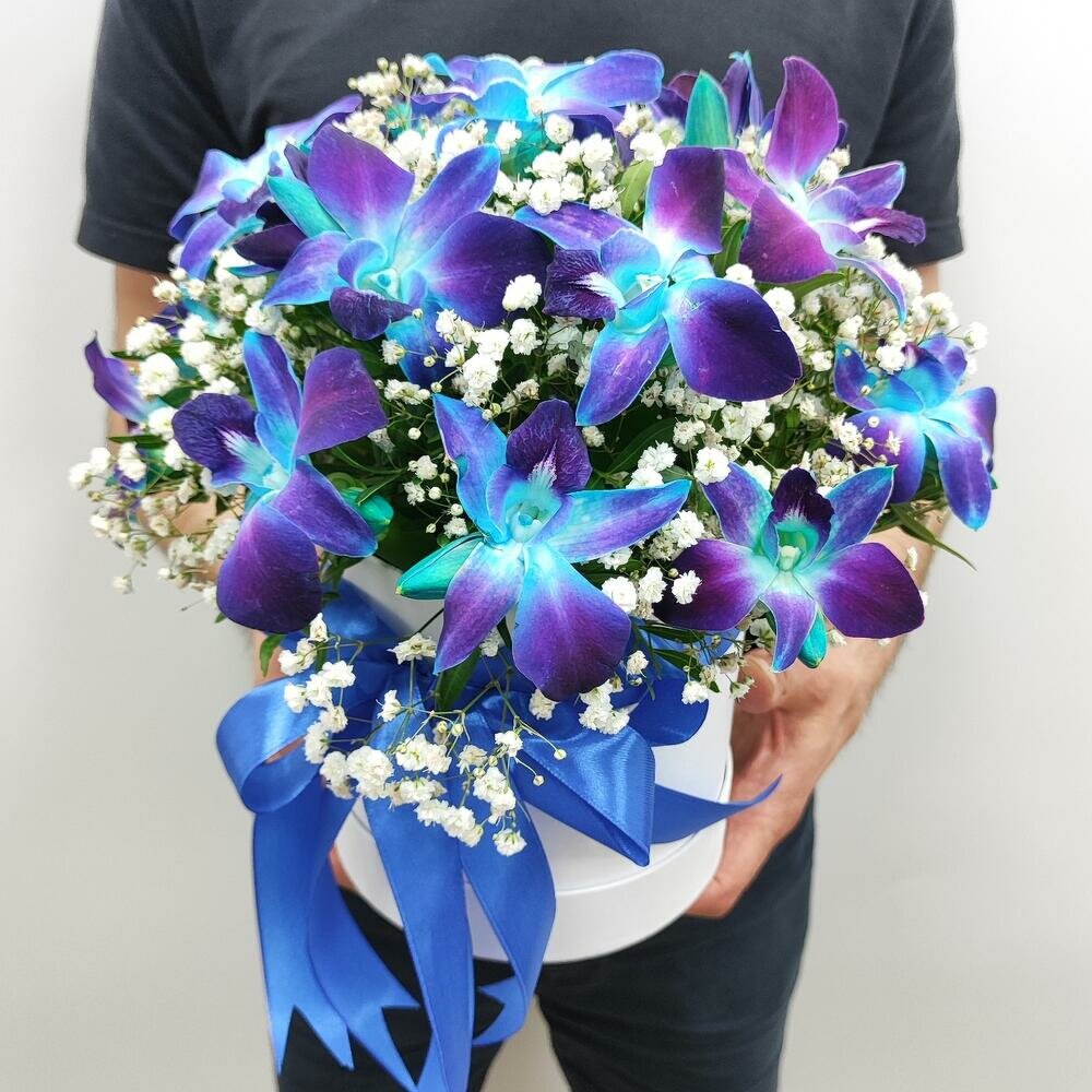 Композиция 