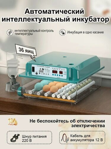 Изображение товара Искусственный интеллект Домашний инкубатор для домашней птицы