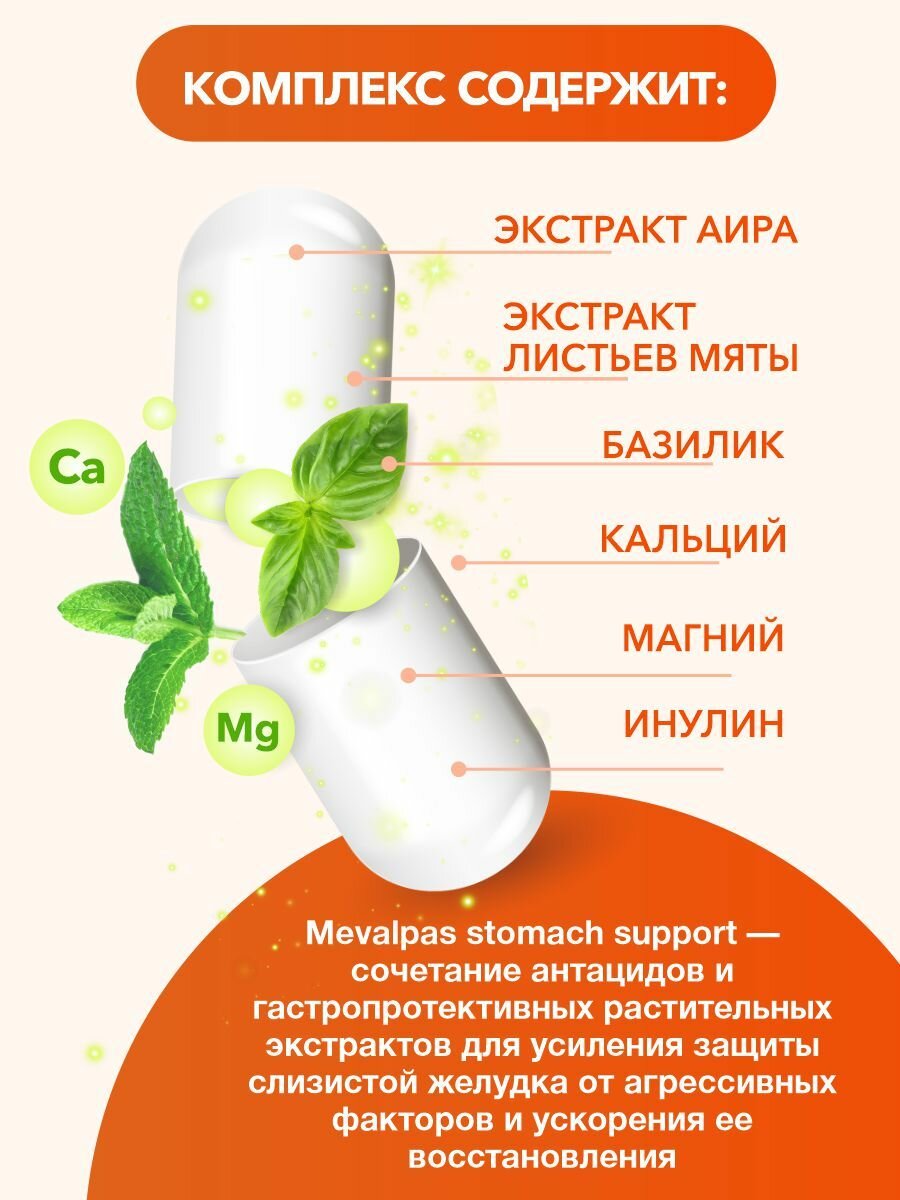 Mevalpas stomach support/ мевалпас поддержка желудка капс. 545 мг. n60 втф — фото 1