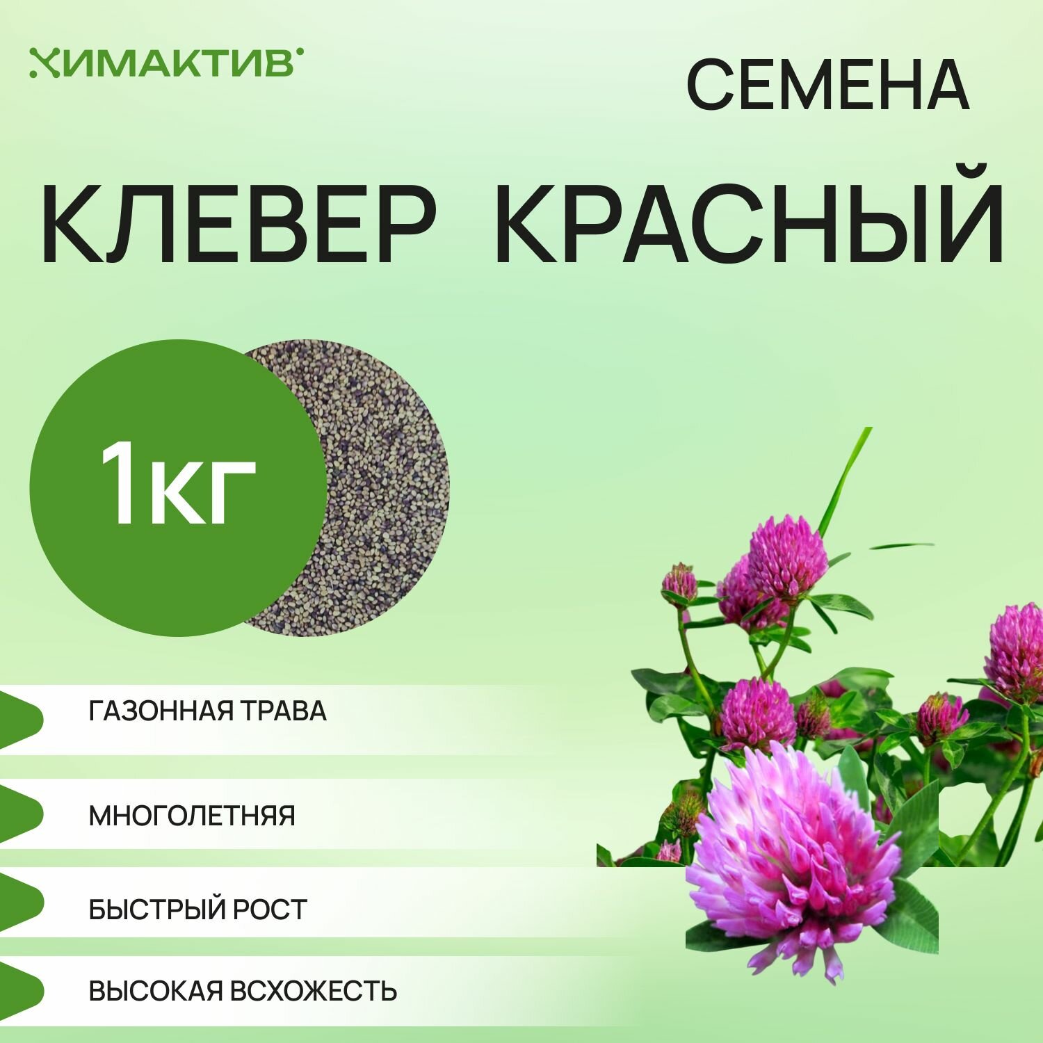 Клевер красный 1кг/ газонная трава